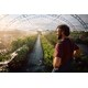 Regenerative Agriculture Programs Image 1