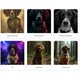 AI Creative Pet Tools Image 1