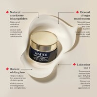 Year-Round SPF Creams Image 3