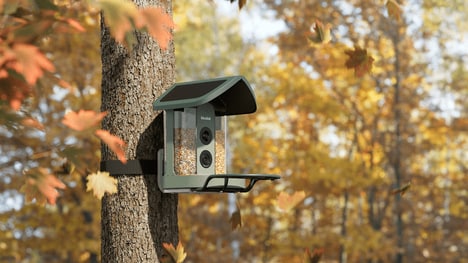 Smart Bird Watching Devices