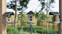 Smart Bird Watching Devices Image 3