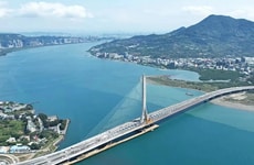 Long Single-Mast Bridges