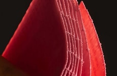 Experimental Printed Books