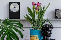 Portable Music Displays Image 2