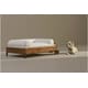 Elevated Pet Furniture Image 3