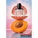 Coastal Californian Perfumes Image 1