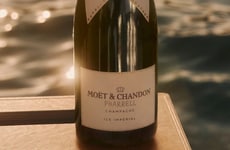 Celb Champagne Collections