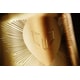 Gold Drinkware Collection Image 3