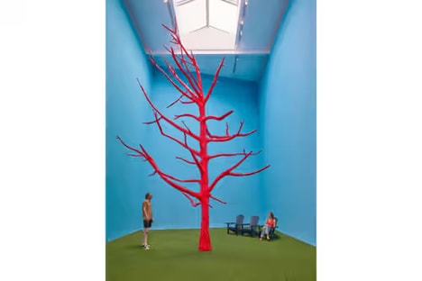 Multidisciplinary Art Shows