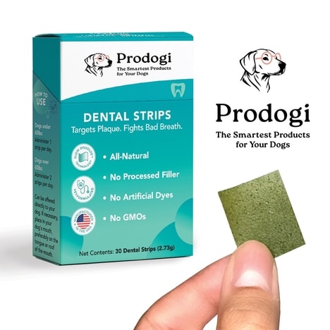 Dog-Friendly Oral Strips