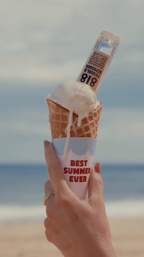 Dream Summer Campaigns