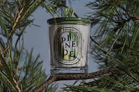 Premium Summer Fragrances Image 2