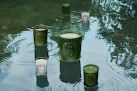 Premium Summer Fragrances Image 3