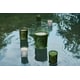 Premium Summer Fragrances Image 3