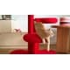 Upholstered Cat Trees Image 2