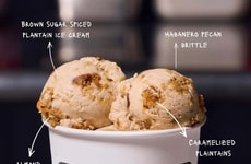 Chef-Crafted Ice Creams