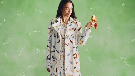 British Capsule Collections