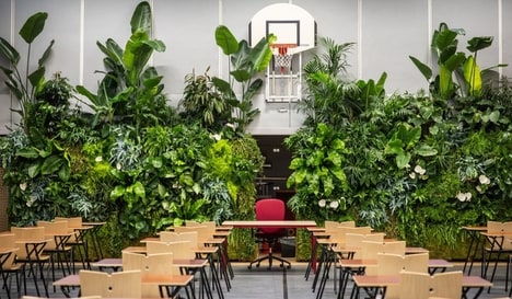 Calming Greenery Initiatives