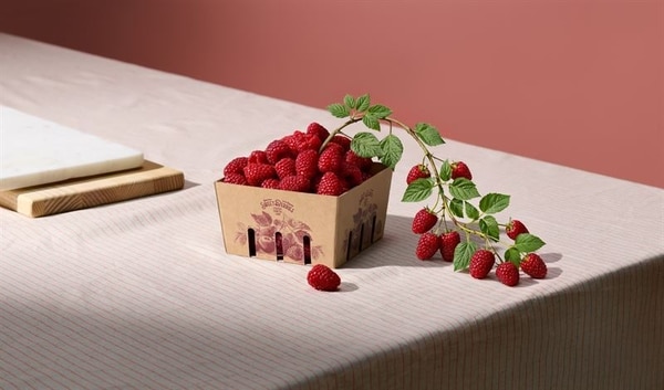 Lightweight Packaging Materials