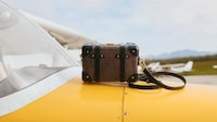 Vulcanized Trolley Cases Image 3