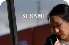 Personable Conversational AI Agents