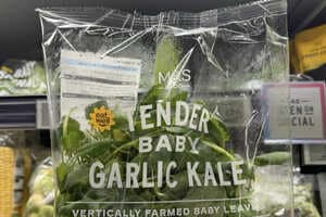 Vertically Farmed Salads Article Thubnail
