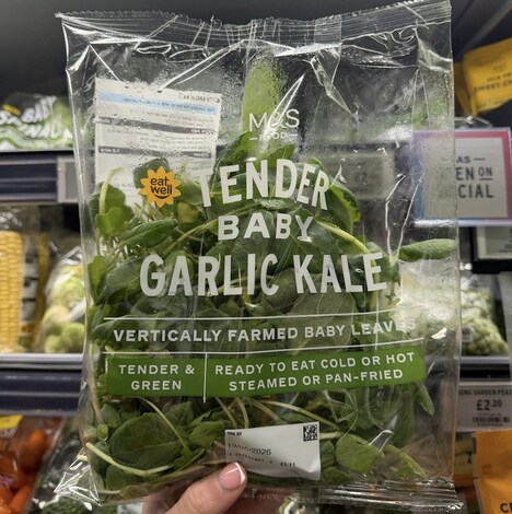 Vertically Farmed Salads