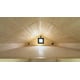 Timelessly Elegant Tiny Houses Image 1