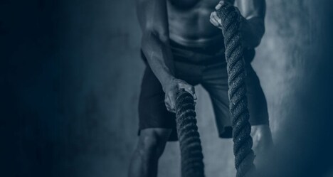 Enhanced Bioavailability Nutrition