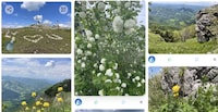 Event Memory Platforms Image 1
