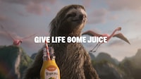 CGI Tropical World Campaigns
