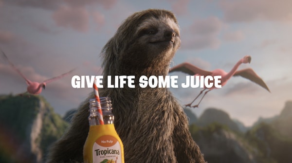 CGI Tropical World Campaigns