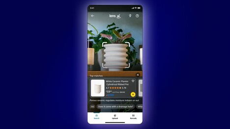 Conversational Visual Shopping