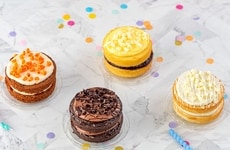 Small Celebration Cakes