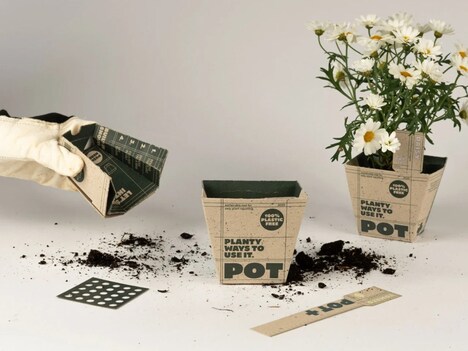 Cardboard Plant Pots