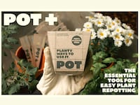 Cardboard Plant Pots Image 2
