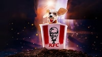 Collectible Fried Chicken Buckets