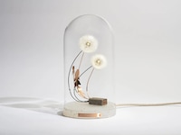 Dandelion Seed Lamps Image 1