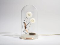Dandelion Seed Lamps