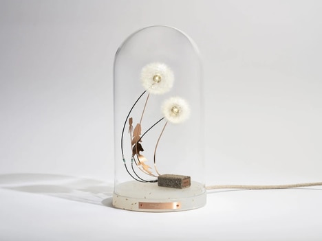 Dandelion Seed Lamps