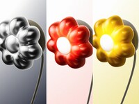 Floral Wall Chargers Image 4