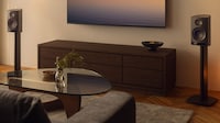 Self-Optimizing Speaker Systems