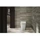Modern Smart Toilet Collections Image 1