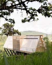 Forest Lantern Cabins Image 2