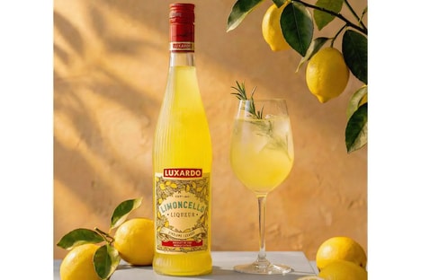 Elegant Eco-Friendly Alcohol Bottles