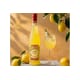 Elegant Eco-Friendly Alcohol Bottles Image 1
