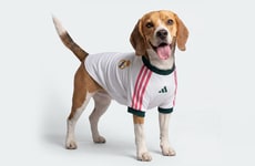 Dog-Friendly Soccer Jerseys