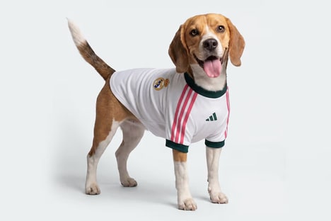 Dog-Friendly Soccer Jerseys