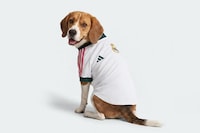 Dog-Friendly Soccer Jerseys Image 2
