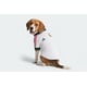 Dog-Friendly Soccer Jerseys Image 2